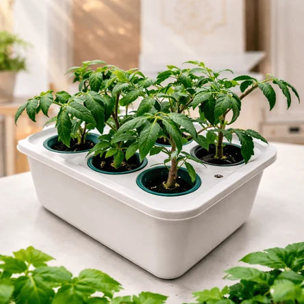 Гидропонная установка АГРОЛО